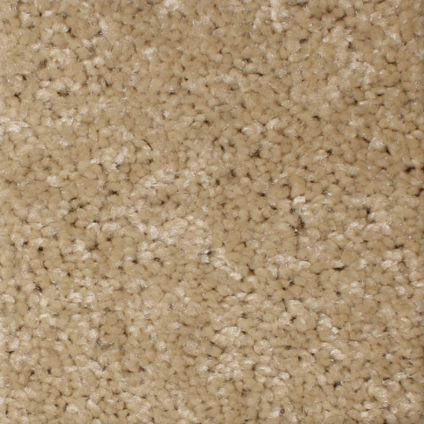 Phenix Carpets Daybreak MO Pathway PHENIX