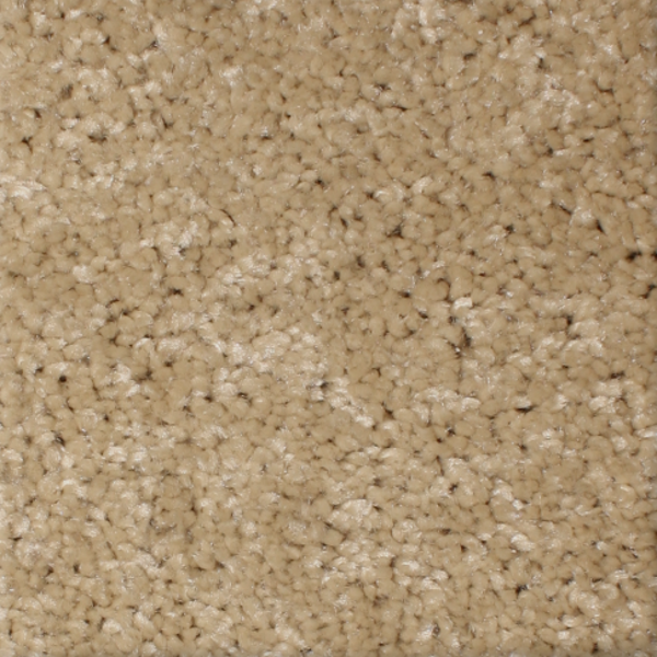 Phenix Carpets First Light MO Pathway PHENIX