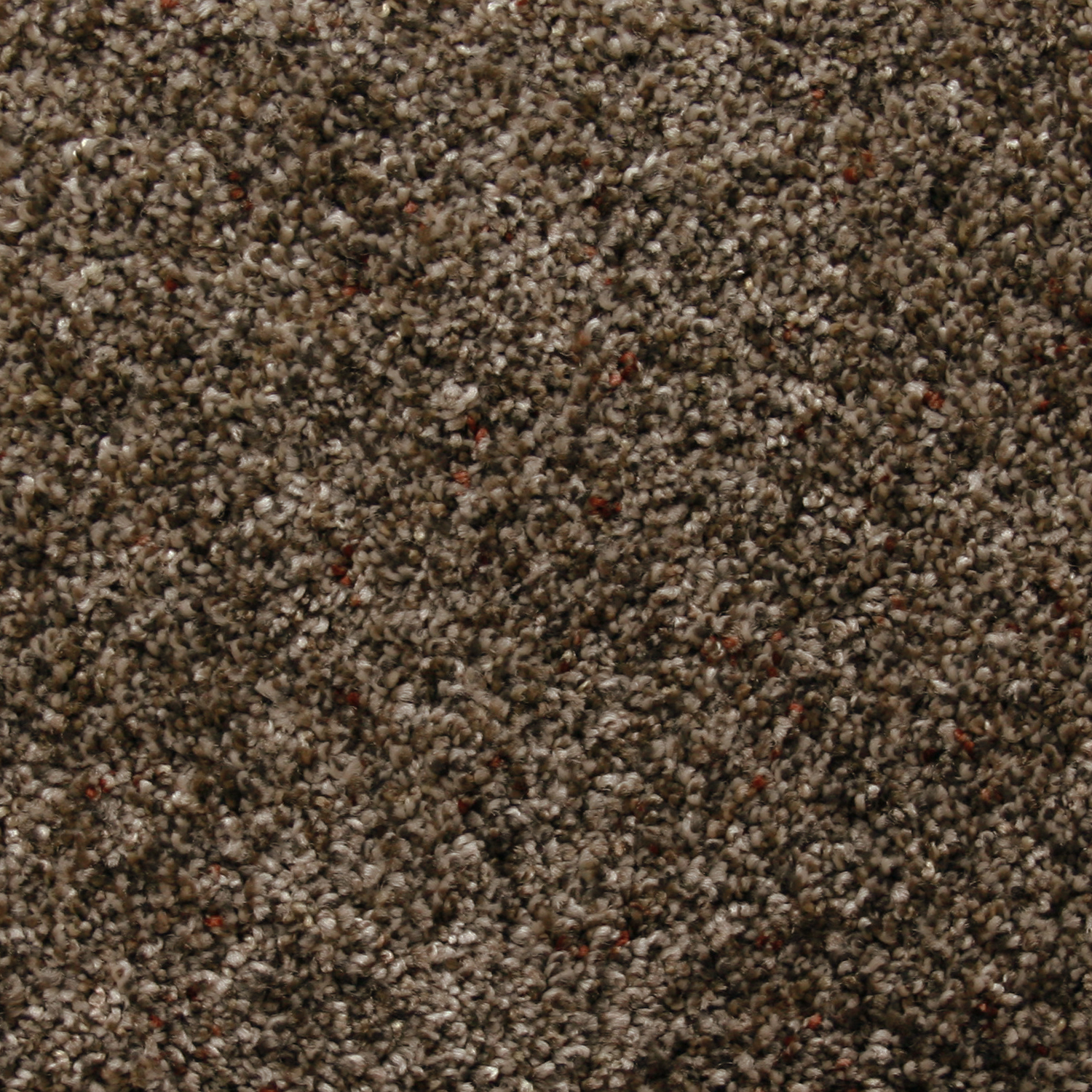 Kraus Residential Canyon Paradise Warm Ash KRAUS