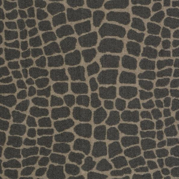 Philadelphia Commercial River Croc Lounge Around Shaw