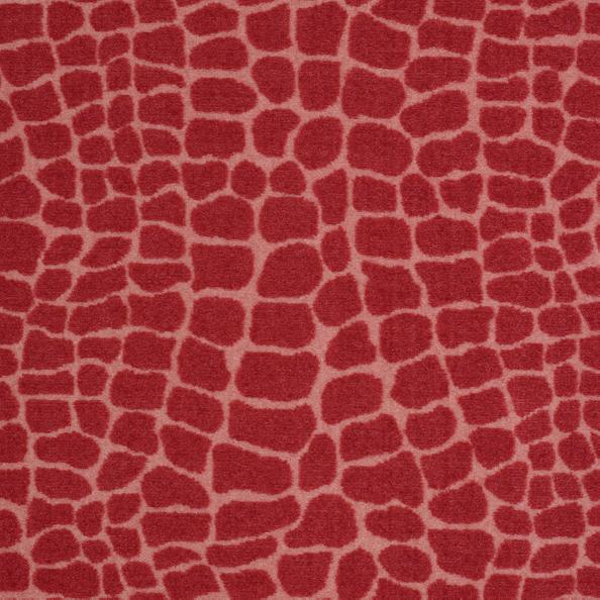 Philadelphia Commercial River Croc Sunbathe Shaw