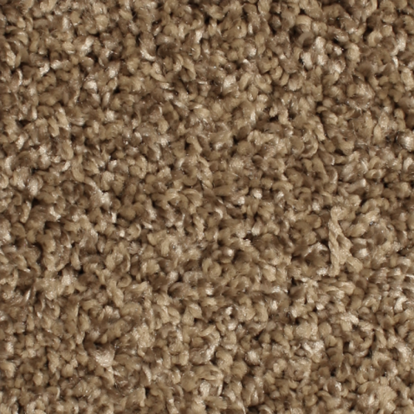 Phenix Carpets Paradox Shenandoah PHENIX