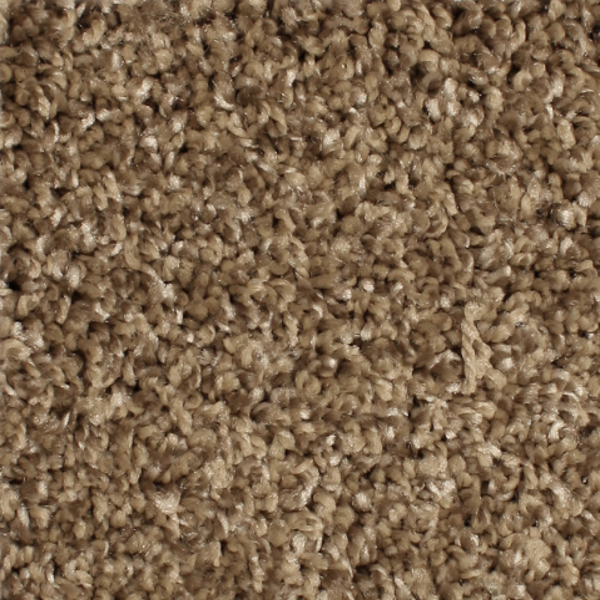 Phenix Carpets Paragon MO Shenandoah PHENIX