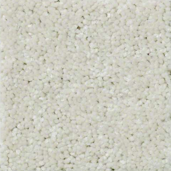 Shaw Floors QS407 7101 SHAW