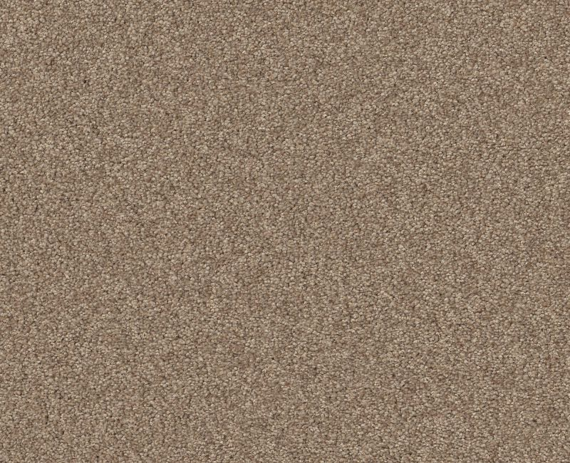 Shaw Floors Your Comfort I Falling Leaves SHAW