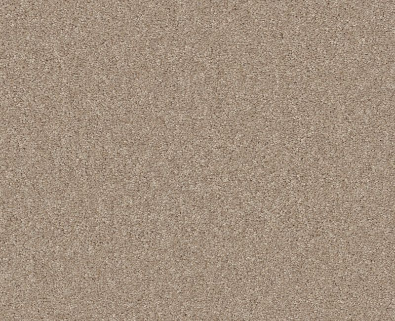 Shaw Floors Your Comfort I Walk On The Beach SHAW