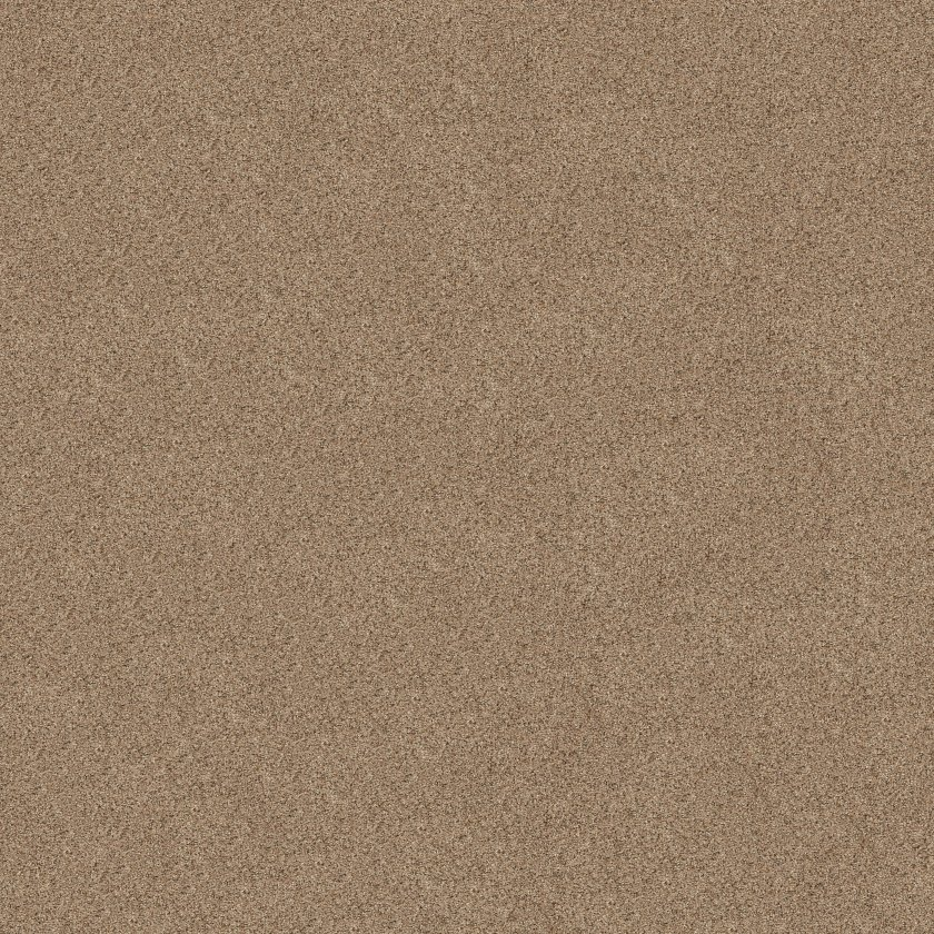 Shaw Floors Canyon Lake Basic Tan SHAW