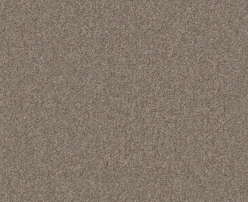 Shaw Floors Your Comfort I Dockside View SHAW