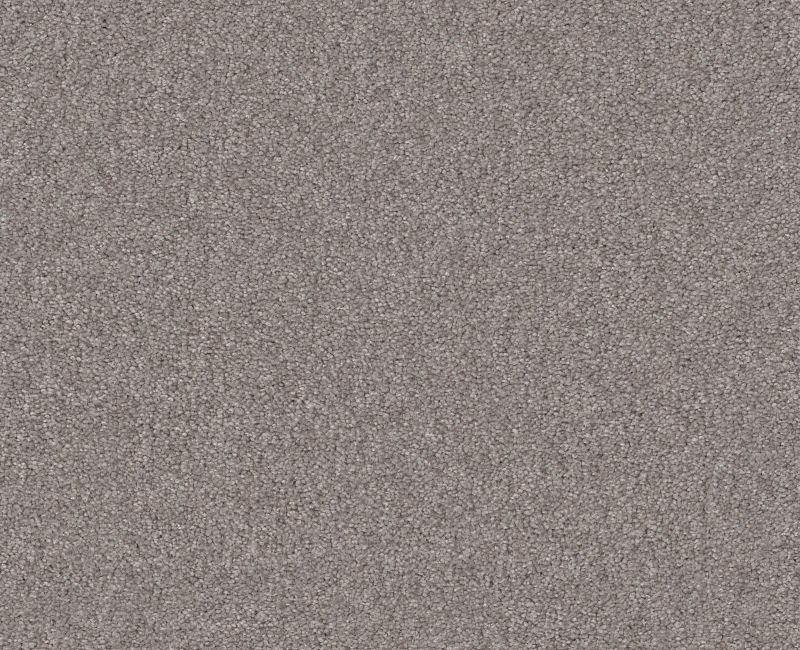 Shaw Floors Your Comfort I Back Patio SHAW