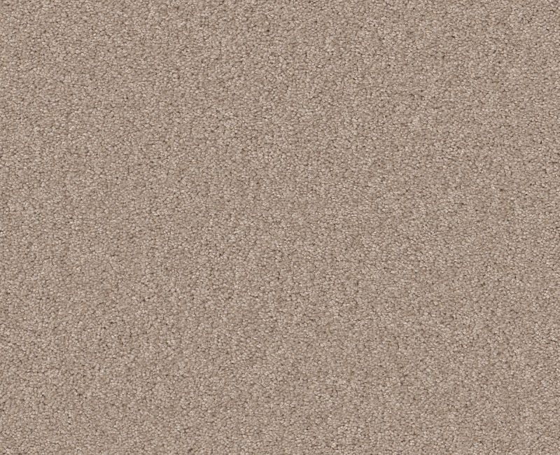 Shaw Floors Your Comfort I Dinner With Friends SHAW