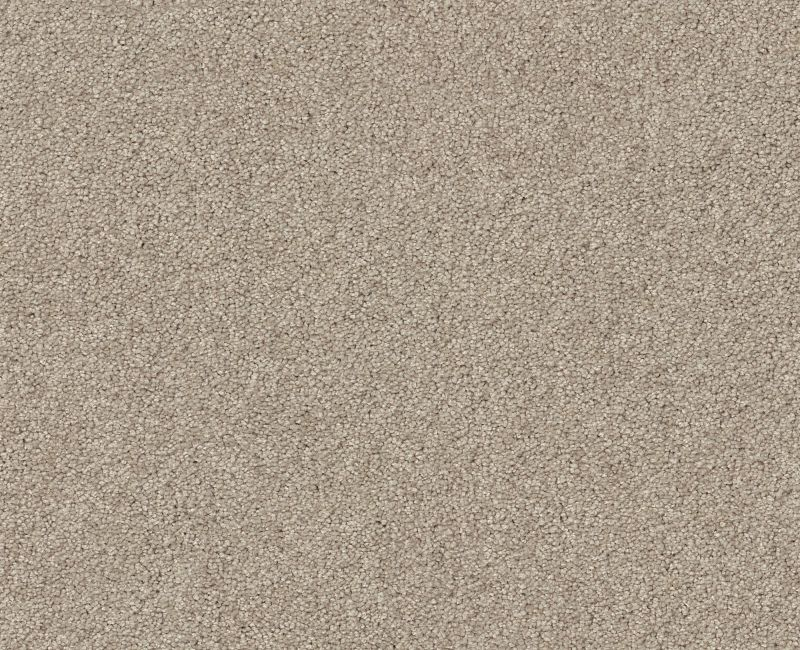 Shaw Floors Your Comfort I My Haven SHAW