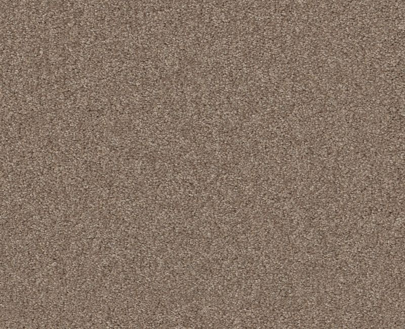 Shaw Floors Your Comfort I Camping Trip SHAW