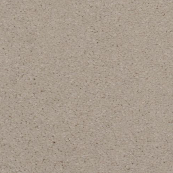 Dixie Home Spellbinding Sand Dollar