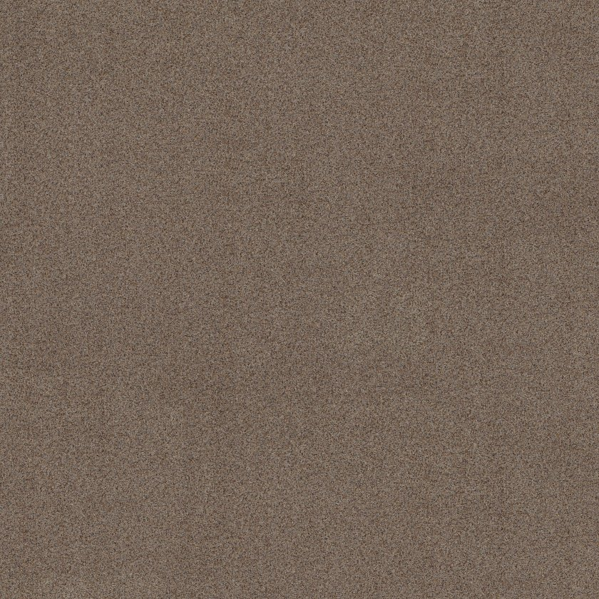 Shaw Floors Canyon Lake Granite SHAW