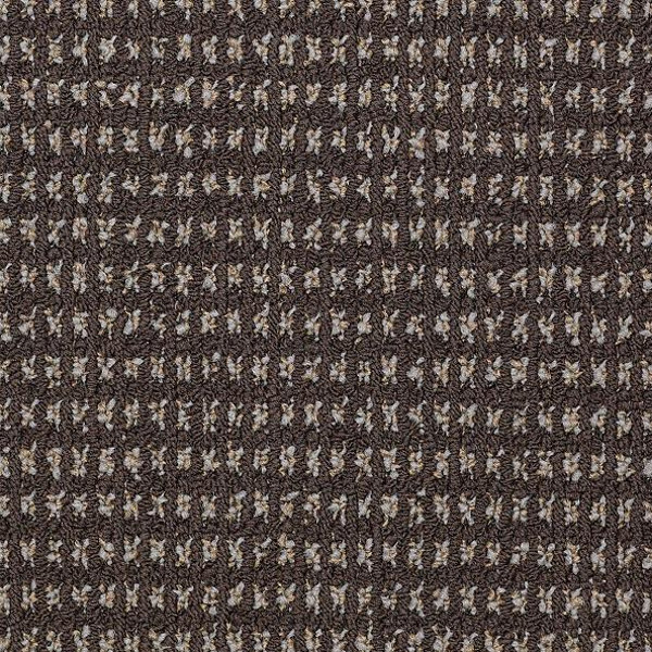 Philadelphia Commercial Modern Traditions Bark Shaw