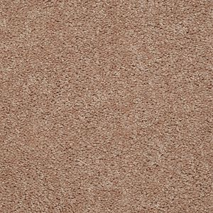 Shaw Floors QS407 7701 SHAW