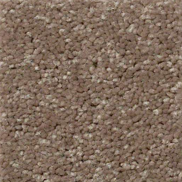 Shaw Floors QS407 7791 SHAW