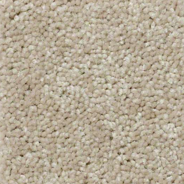 Shaw Floors QS407 7793 SHAW