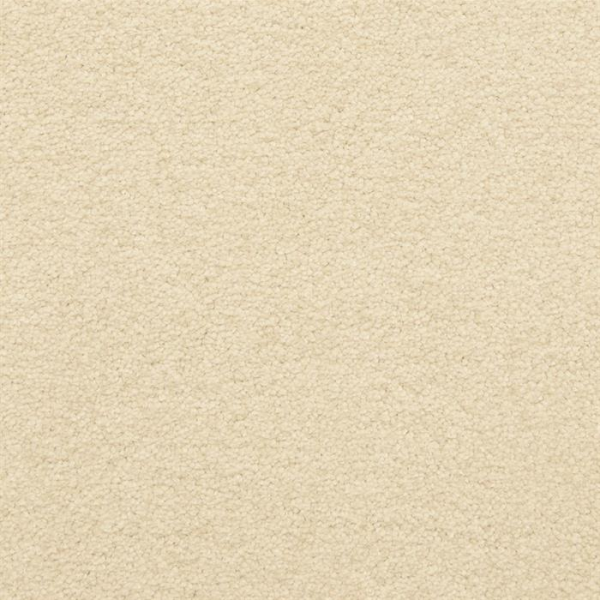 Masland Carpets Patriot Pale Masland