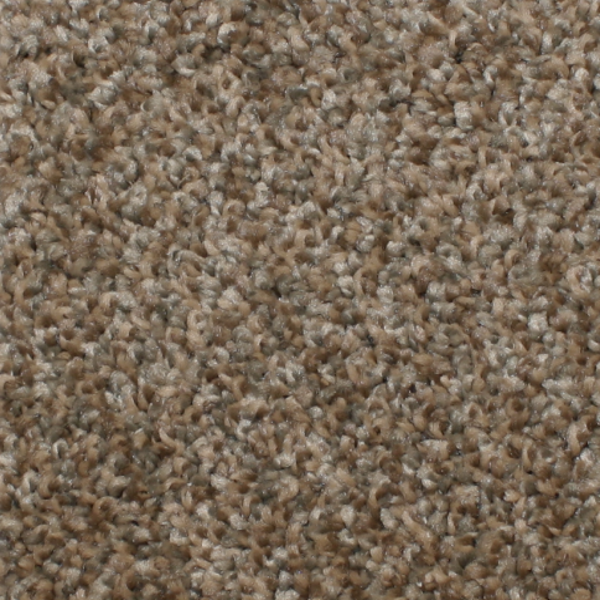 Phenix Carpets Touchstone MO Honey Maple PHENIX
