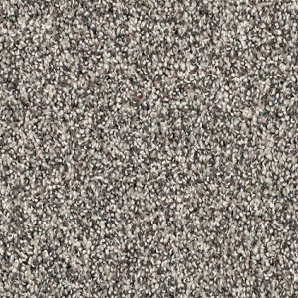 Godfrey Hirst Carpets Candor Alpine GODFREY HIRST