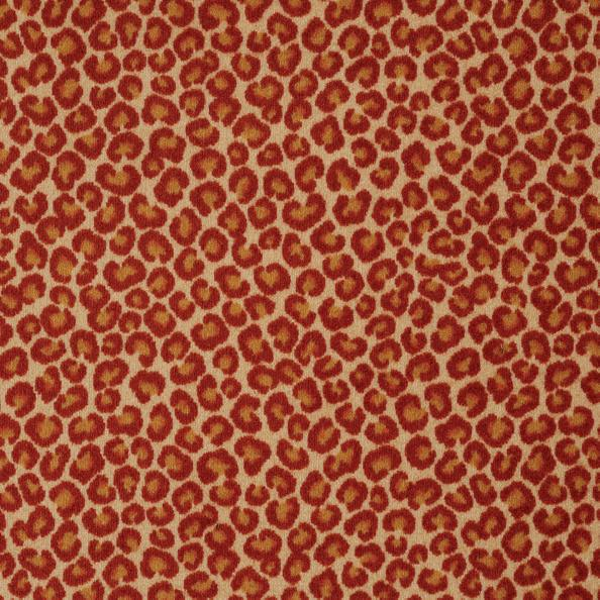 Philadelphia Commercial Cheetah Big Cat Shaw