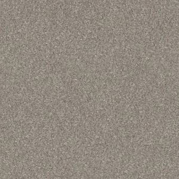 Shaw Floors Without Limits III Heather SHAW