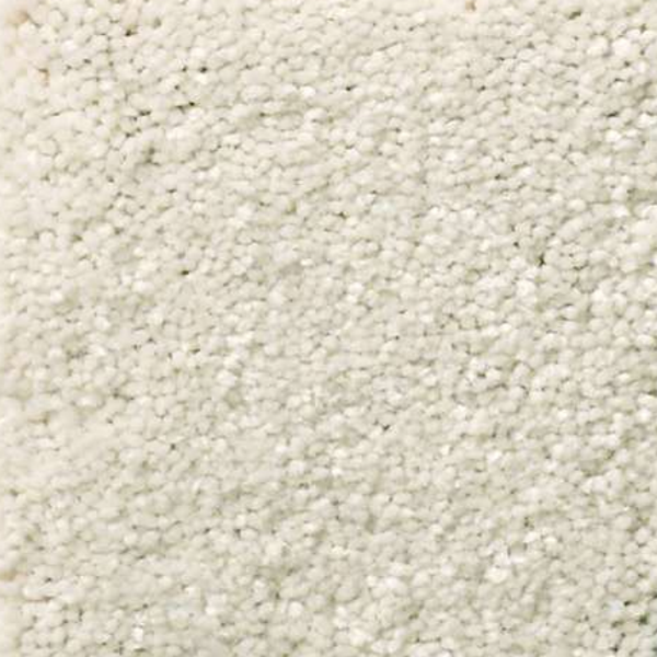 Shaw Floors Solidify III 15 Minimalist SHAW