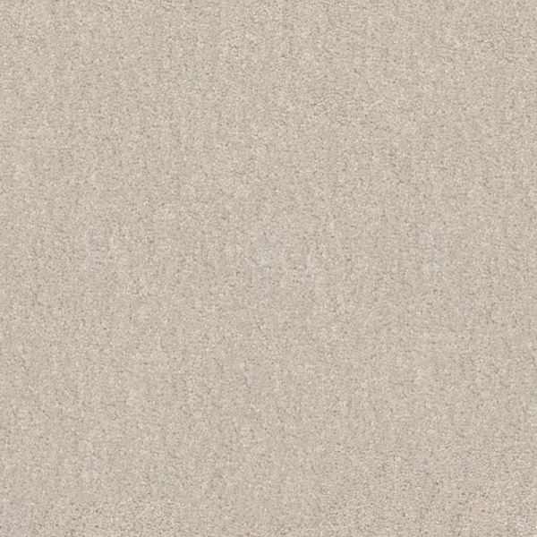 Shaw Floors Easy Spirit I 12 Minimalist SHAW