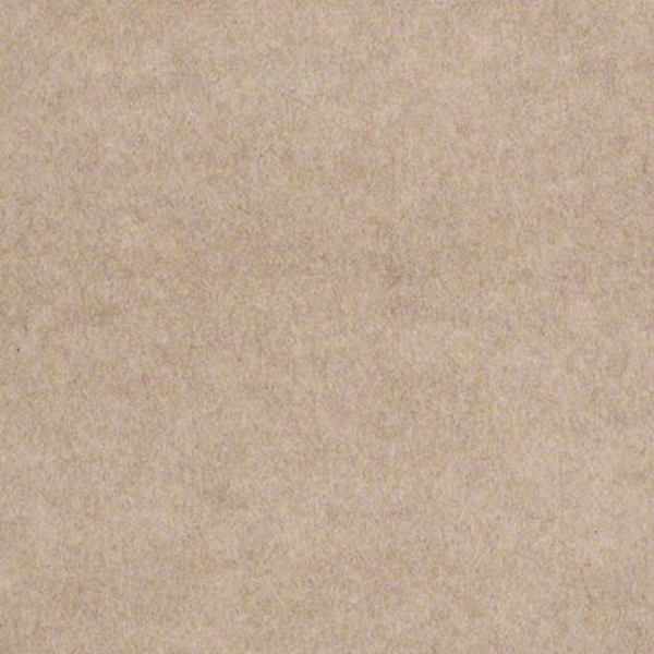 Philadelphia Commercial Soft Scape II 12' Natural Finish Shaw