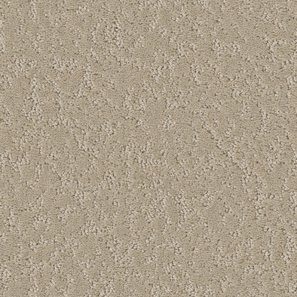 Shaw Floors Clever Choice Twine SHAW