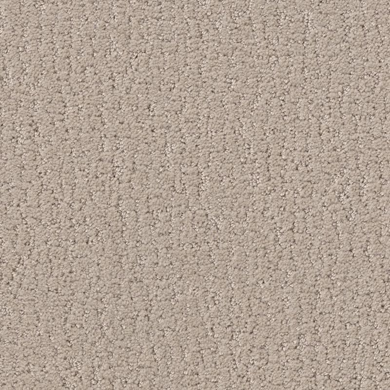 Shaw Floors Studio Set Twine SHAW