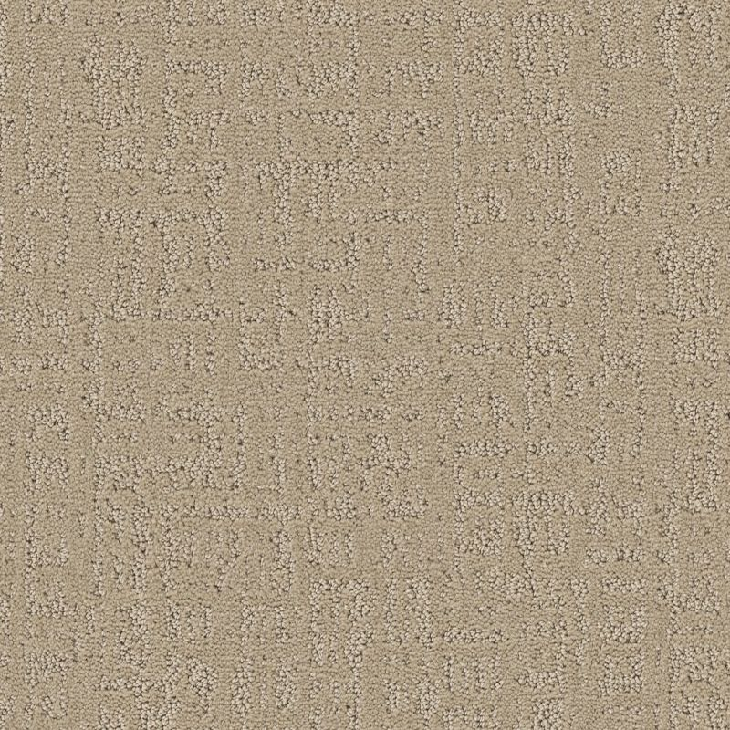 Shaw Floors Studio Plaza Twine SHAW