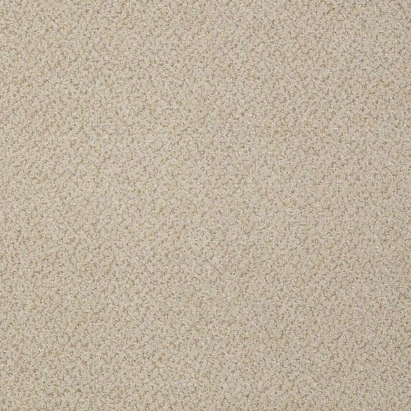 Philadelphia Commercial Primus Favored Shaw