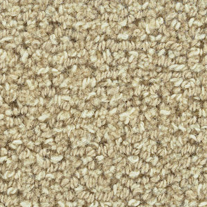 J. Mish Inc. Charade Parchment J MISH INC