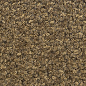 J. Mish Inc. Charade Nutmeg J MISH INC