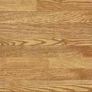 Bruce Dundee Strip Seashell BHW-CB230