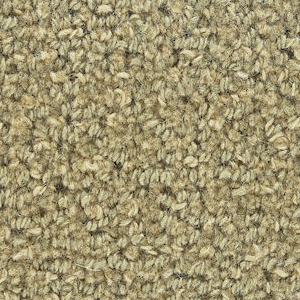 J. Mish Inc. Charade Lichen J MISH INC