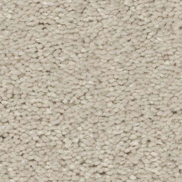 Shaw Floors Well Made Creamy SHAW