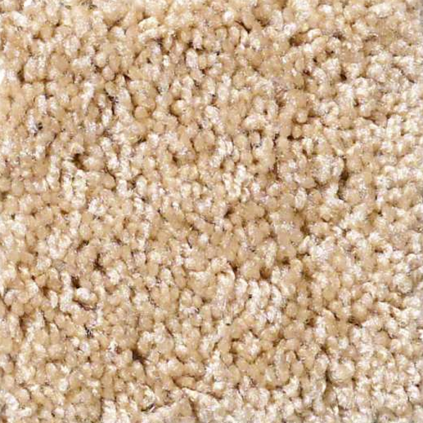 Shaw Floors Dreamin 12' Light Aspiratio SHAW