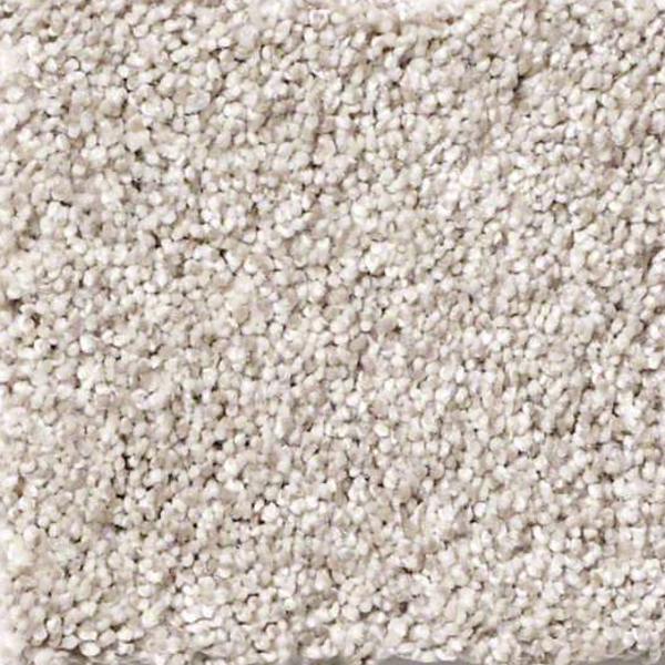 Shaw Floors Anso It Goes Parchment SHAW