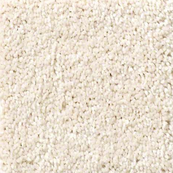 Shaw Floors Basic Rules Snowfall SHAW