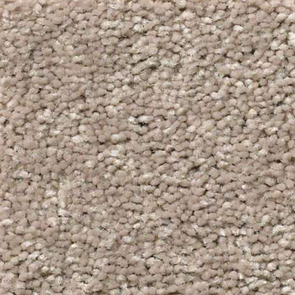 Shaw Floors Attainable Pebble Path SHAW