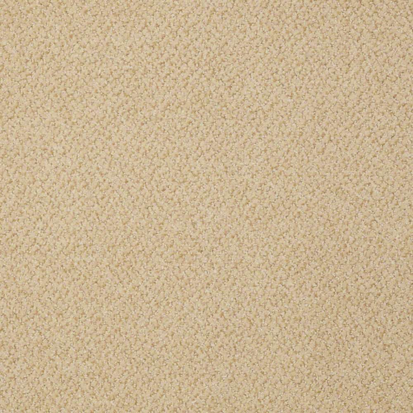 Philadelphia Commercial Primus Chief Shaw