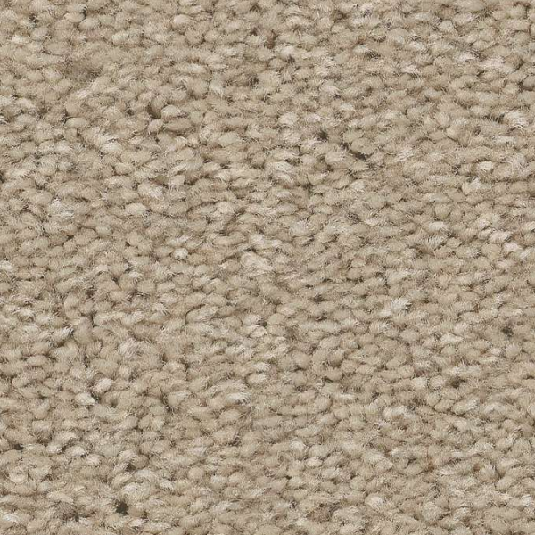 Shaw Floors Well Made Agate SHAW