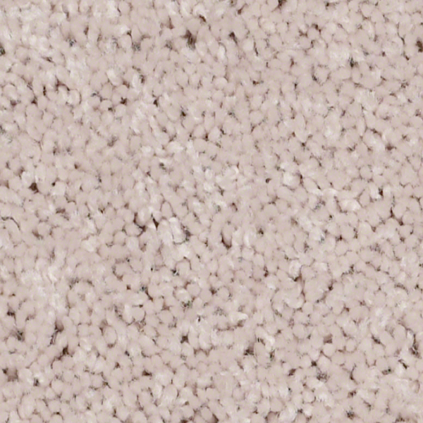 Shaw Floors Full Court 15 Angel Cloud SHAW