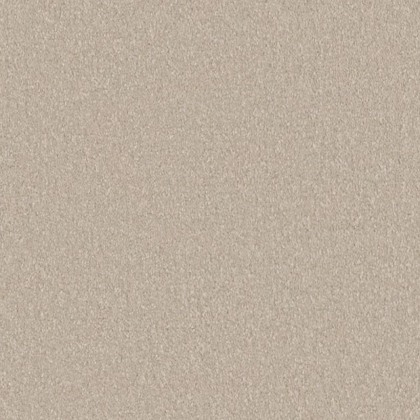 Shaw Floors Awaken Spirit I 12' Cloud SHAW