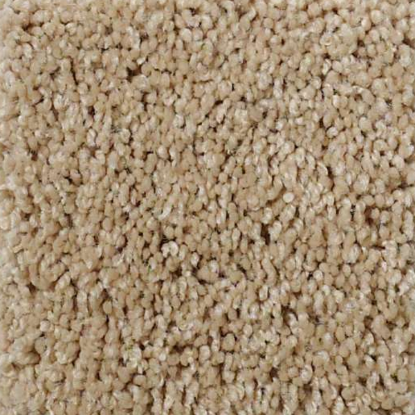 Shaw Floors Origins Dune SHAW