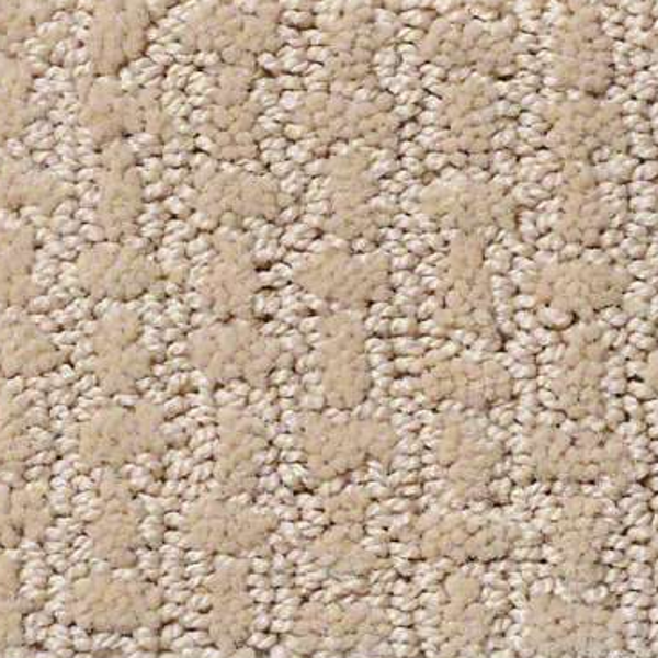 Shaw Floors Ray Of Light Dunes SHAW