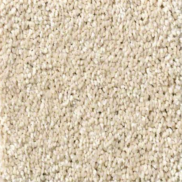 Shaw Floors Basic Rules Eggshell SHAW